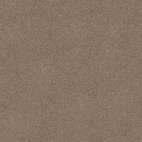 Canyon carpet swatch